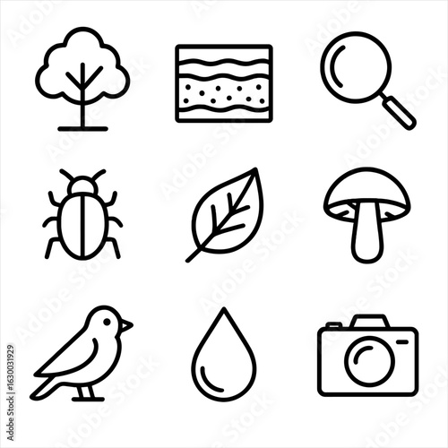 Ecosystem Analysis Icons. Outline icon set of ecosystem analysis: tree, soil layers, magnifying glass, insect,