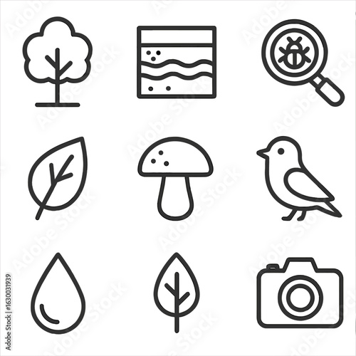 Ecosystem Analysis Icons. Outline icon set of ecosystem analysis: tree, soil layers, magnifying glass, insect,