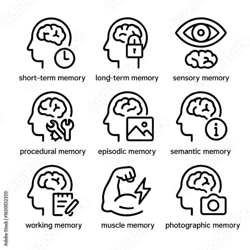 Memory Types Icon Set. Outline icon set of memory types: short-term memory, long-term memory, sensory memory, procedural memory,