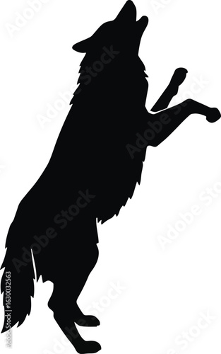 Vector art of silhouette of a wolf standing on its hind legs and howling at the moon on a dark night