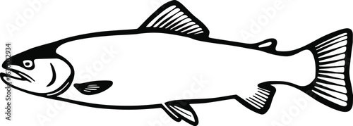 Illustration of a trout fish swimming in the water a popular sport fish found in rivers and lakes