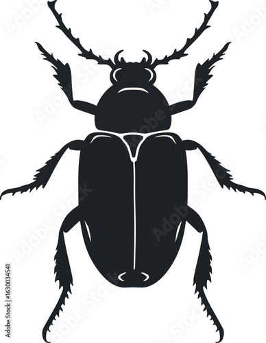 Illustration of a beetle insect with detailed anatomy and a unique pattern on its carapace in vector format
