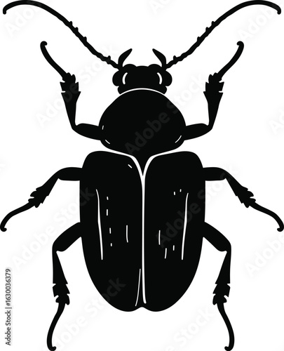 Vector art of detailed vector illustration of a beetle showcasing its anatomical features and intricate details of its exoskeleton