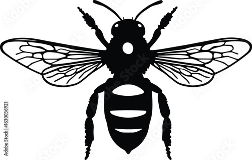 Vector art of a black and white vector illustration of a bee with its wings spread out on a white background