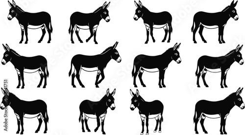 Black silhouette donkey collection, farm animal vector illustration, side view donkey pose, domestic working animal, rural livestock design set

