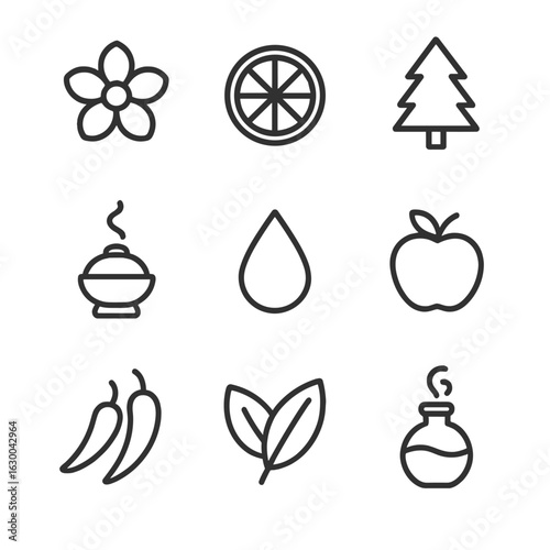 Perfume Scent Icon Set. Outline icon set of perfume scent families: floral, citrus, woody, oriental, aquatic, fruity, spicy, green