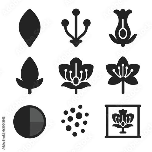 Flower Anatomy Icons. Solid, filled icons set of flower anatomy in bloom: petal icon, stamen detail, pistil