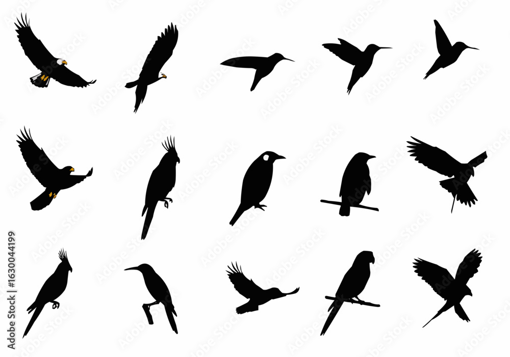 Obraz premium Silhouette depictions of various bird species in flight and perched on branches against white background