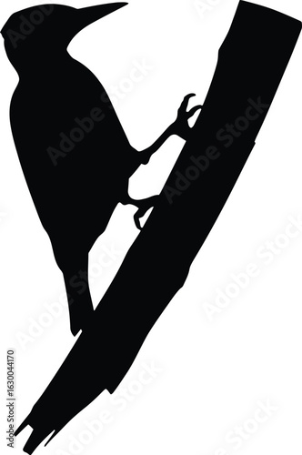 Vector art of silhouette of a woodpecker climbing a tree branch in a minimalist design against a plain backdrop
