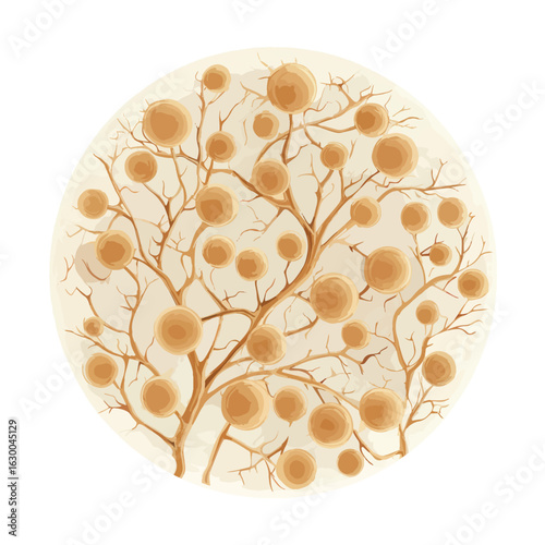 File ID(s): 1630046314 - Original name(s): fungi mycelium network isolated in White Background, fungi mycelium network vector, Flat lay vector illustration