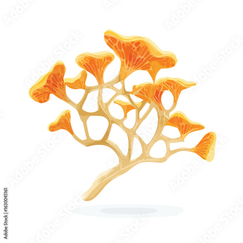 File ID(s): 1630046314 - Original name(s): fungi mycelium network isolated in White Background, fungi mycelium network vector, Flat lay vector illustration