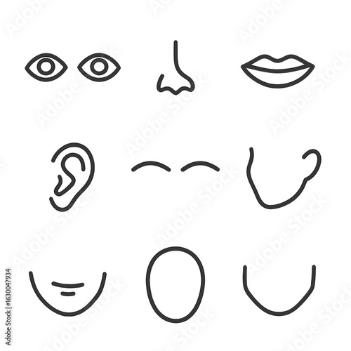 Facial Features Icons. Outline icon set of facial features: eyes, nose, mouth, ears, eyebrows, cheekbones, chin, forehead, jawline