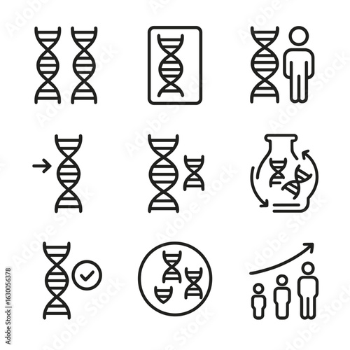 Genetic Concepts Icons. Outline icon set of genetic concepts: allele, genotype, phenotype, mutation, heredity, genetic drift,