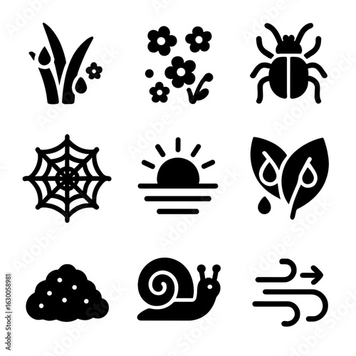 June Dew Icons. Solid, filled icons set of fresh dew in June: grass with droplets, tiny flowers, beetle,