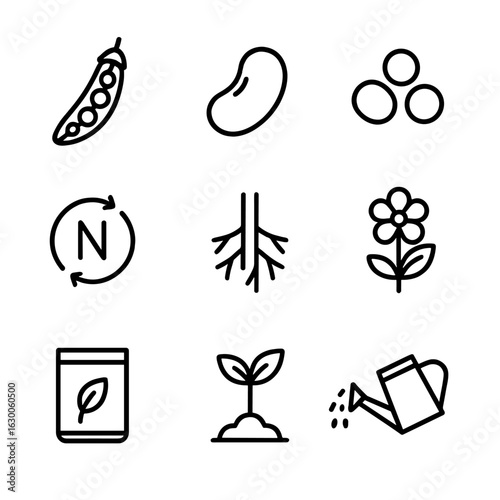 Legume Icon Set. Outline icon set of legumes in crop rotation: pea pod, bean, lentil, nitrogen cycle, roots,