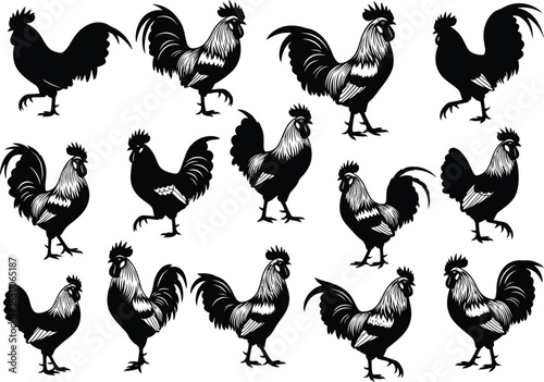 Collection of silhouetted roosters standing and strutting in various poses against a white background