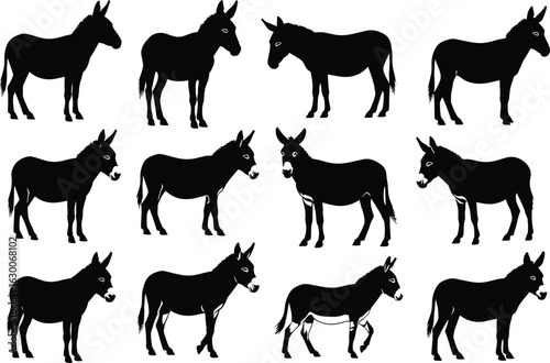 Collection of twelve silhouette donkey poses standing and walking against white background