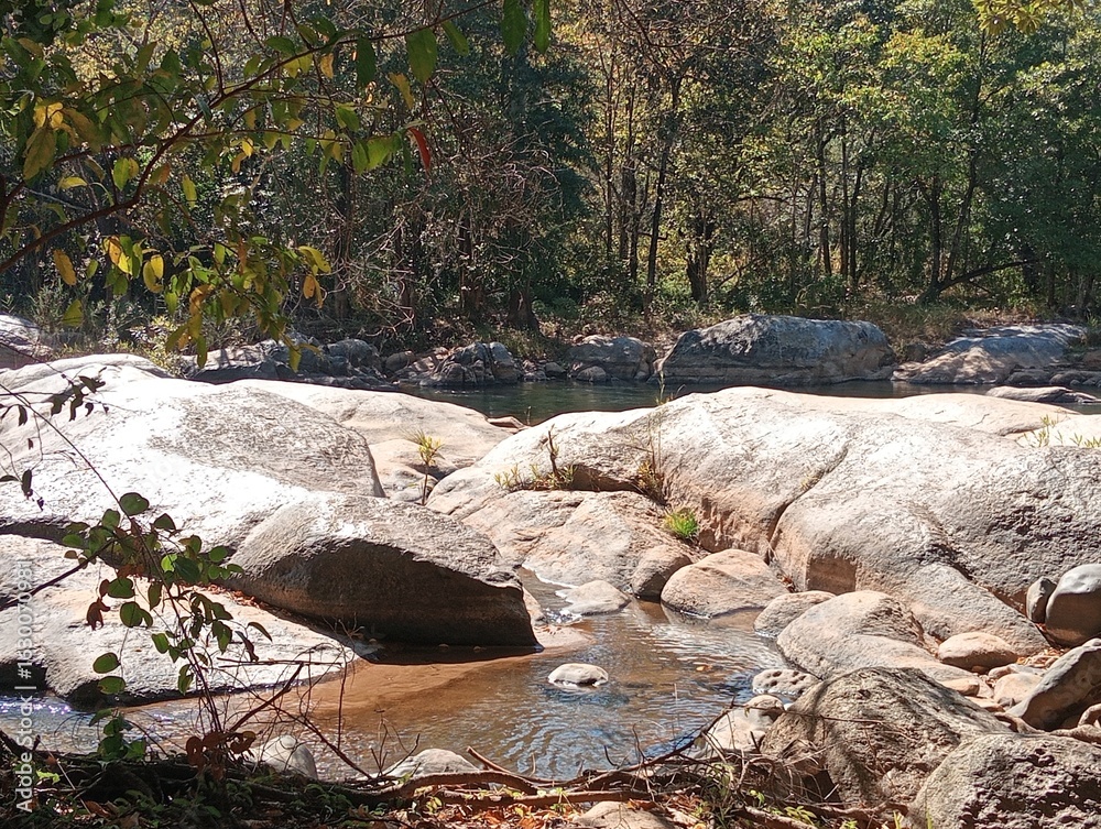 Fototapeta premium river pooling in the forest