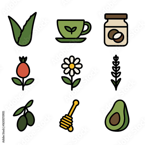 Natural Anti-Aging Icons. Solid, filled icons set of natural anti-aging elements: aloe vera leaf, green tea