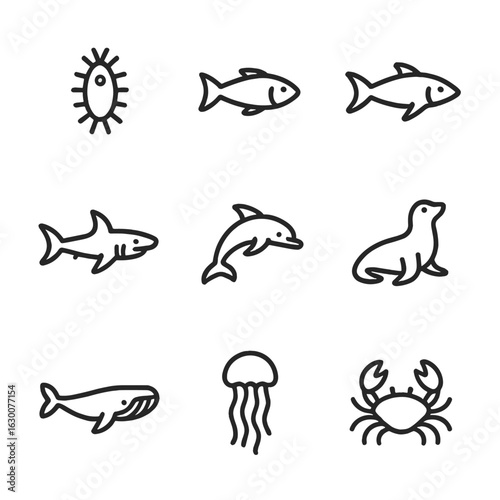 Marine Food Chain Icons. Outline icon set of marine food chain: plankton, small fish, medium fish, shark, dolphin, seal, whale,