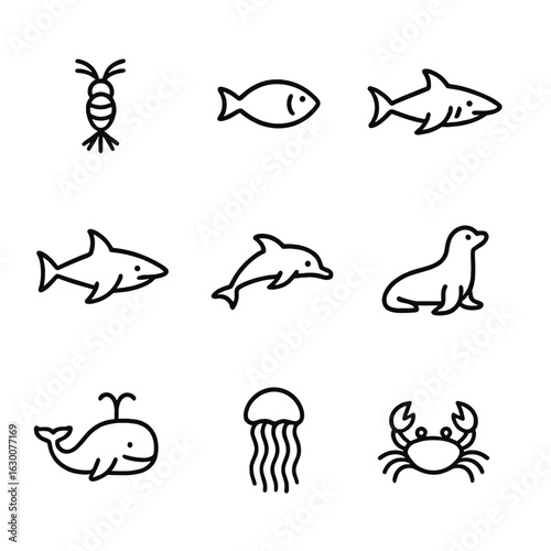 Marine Food Chain Icons. Outline icon set of marine food chain: plankton, small fish, medium fish, shark, dolphin, seal, whale,
