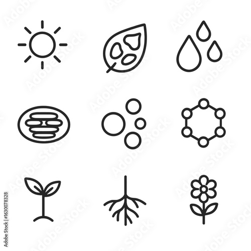 Photosynthesis Icon Set. Outline icon set of photosynthesis and growth: sun rays, leaf cells, water droplets,