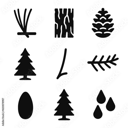 Pine Tree Identification Icons. Solid, filled icons set of pine tree identification: needle clusters, bark