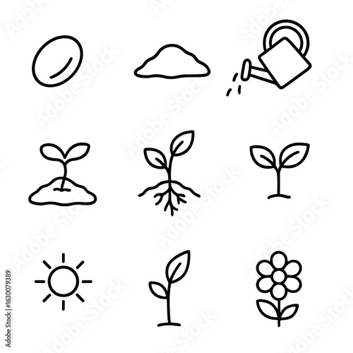Plant Growth Icons. Outline icon set of how a seed grows into a plant: seed, soil, watering can, sprout, roots