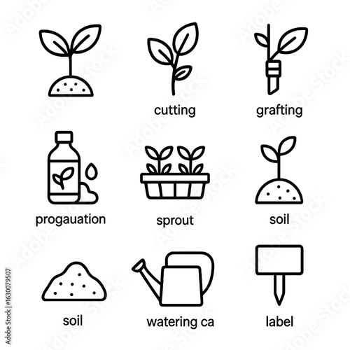 Plant Propagation Icons. Outline icon set of plant propagation methods: seedling, cutting, grafting, rooting