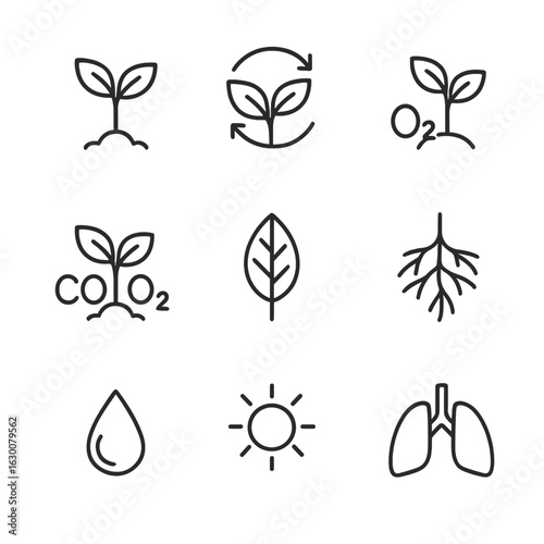Plant Purification Icons. Outline icon set of plants and air purification cycle: photosynthesis, carbon