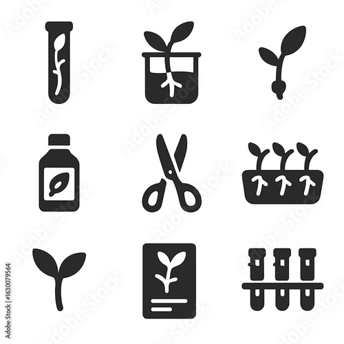 Plant Propagation Icons. Solid, filled icons set of plant propagation at home: propagation tube, water-filled