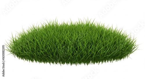 Lush Green Grass Clump Isolated on a White Background: 3D Render of Meadow Vegetation for Nature, Ecology, and Environmental Concepts