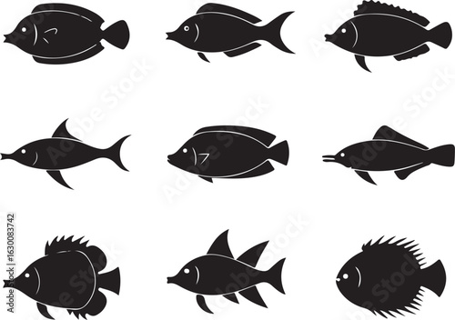 Set of various fish silhouettes isolated