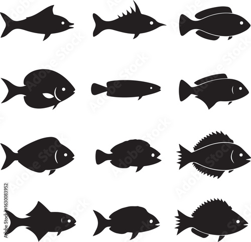 Set of various fish silhouettes isolated