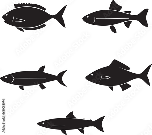 Set of various fish silhouettes isolated