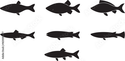 Set of various fish silhouettes isolated