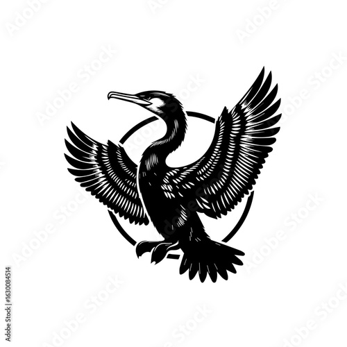 Black cormorant bird with wings spread, isolated on white background