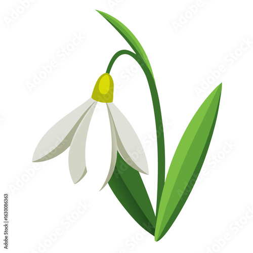 olive branch isolated on white