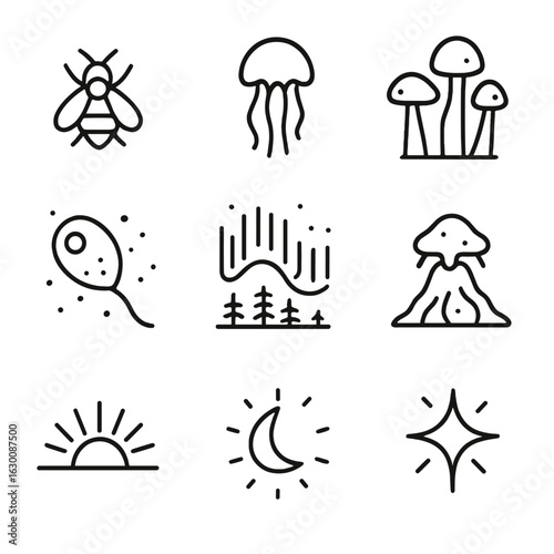 Natural Glow Icons. Outline icon set of natural glows: firefly, bioluminescent jellyfish, glowing mushrooms, phosphorescent
