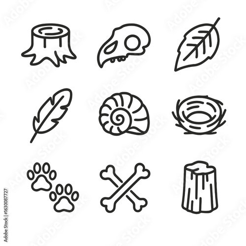 Natural Remains Icons. Outline icon set of natural remains: tree stump, animal skull, dried leaf, feather, fossilized shell, nest,