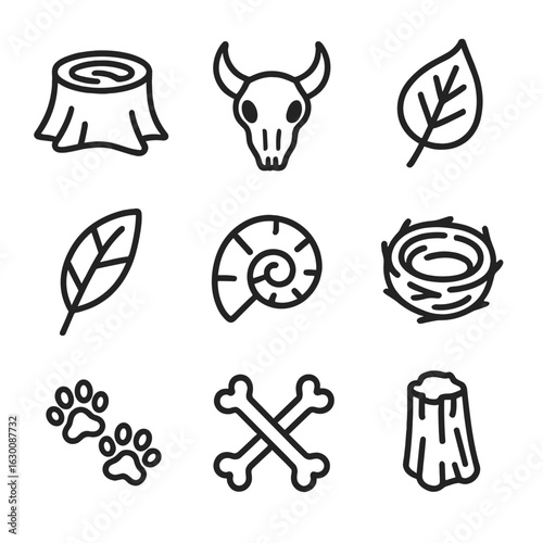 Natural Remains Icons. Outline icon set of natural remains: tree stump, animal skull, dried leaf, feather, fossilized shell, nest,