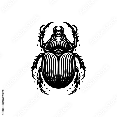 Detailed illustration of a scarab beetle isolated on white background