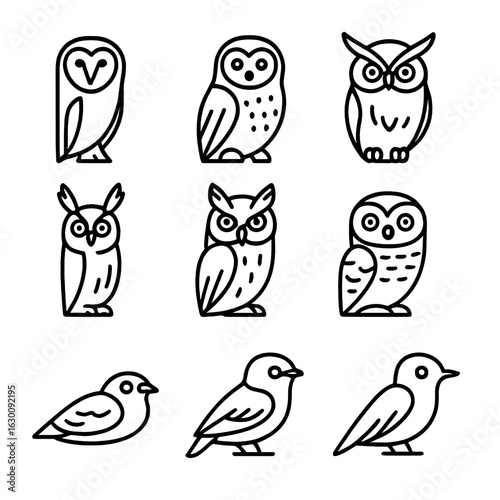 Nocturnal Bird Icons. Outline icon set of nocturnal bird species: barn owl, snowy owl, great horned owl, long-eared owl,