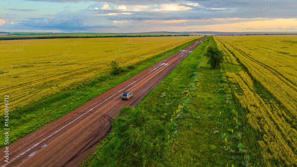 Naklejka premium a car on a country road in a wheat field at sunset