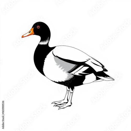 Muscovy Duck Animal Icon