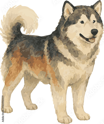 Vector watercolor realistic illustration of a 
