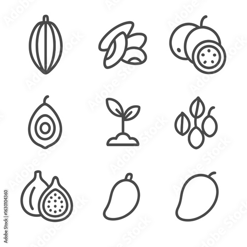 Rainforest Fruit Icons. Outline icon set of rainforest fruits and seeds: cacao pod, Brazil nut, guava, passion fruit, palm fruit,