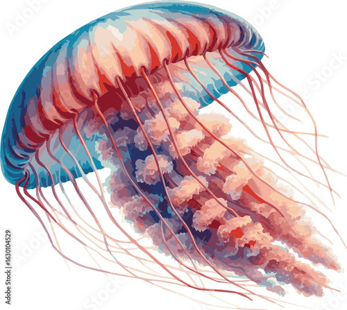 Vector watercolor realistic illustration of a jellyfish
