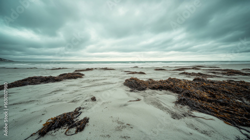 Dramatic rocky beach with stormy clouds coastal nature wild ocean adventure scenic travel moody landscape marketing backgrounds