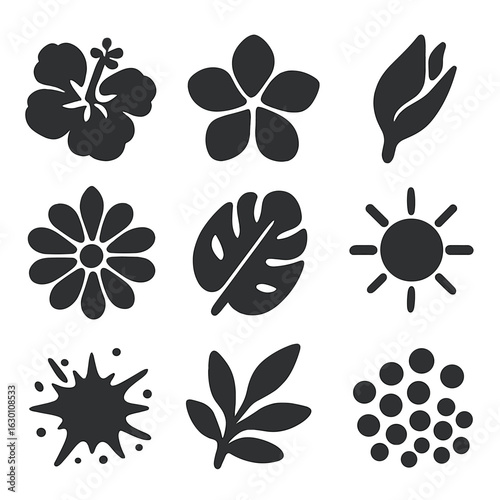 Tropical Flower Icons. Solid, filled icons set of tropical flower blooming: hibiscus flower, plumeria petal,